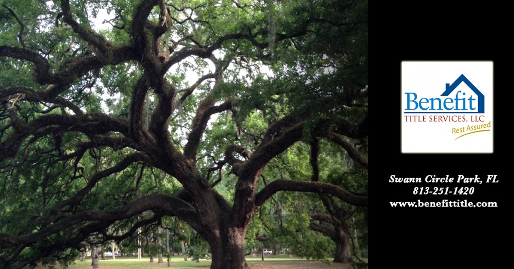 Beach Park Swann Circle Tree Benefit Title